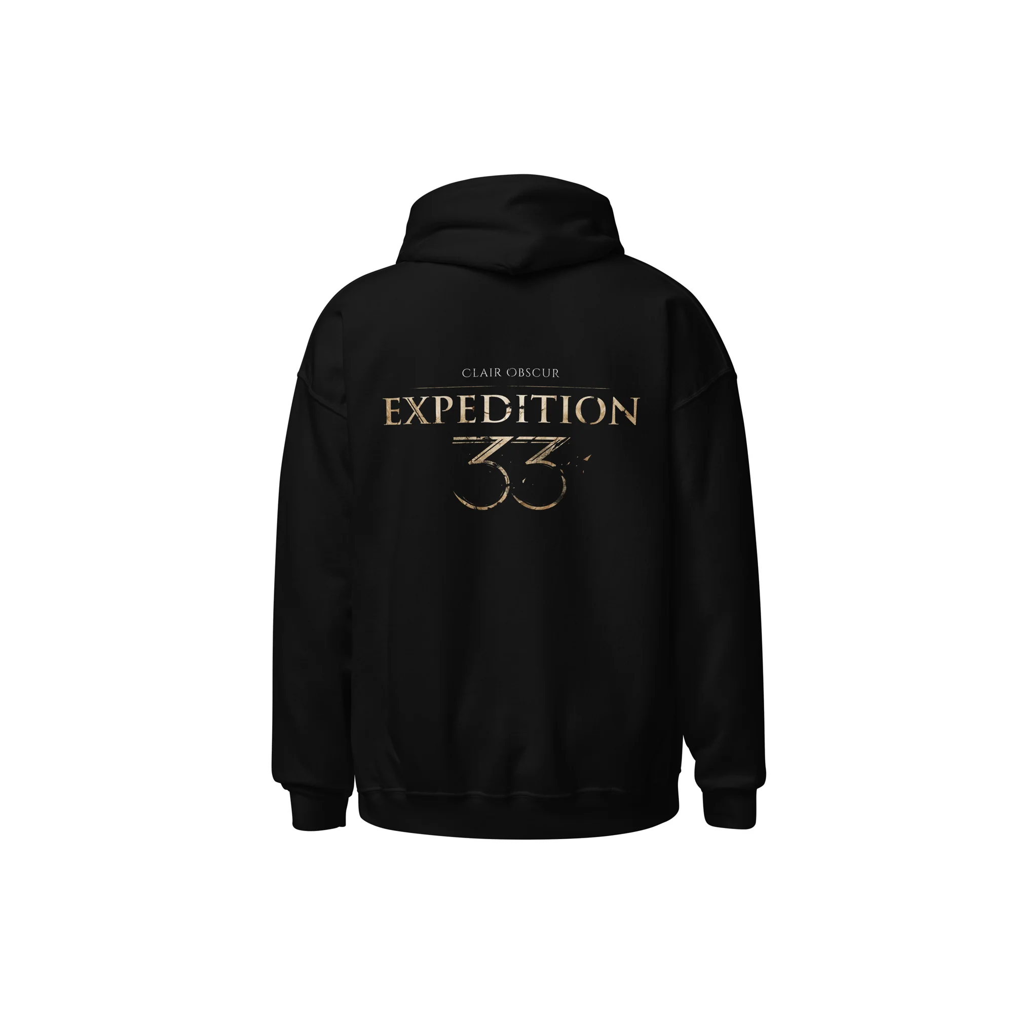 Expedition 33 - Expedition - Hoodie - Image 4
